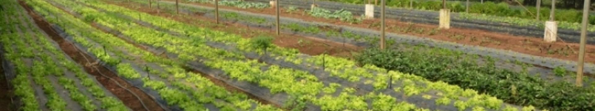 Fazenda do Glória