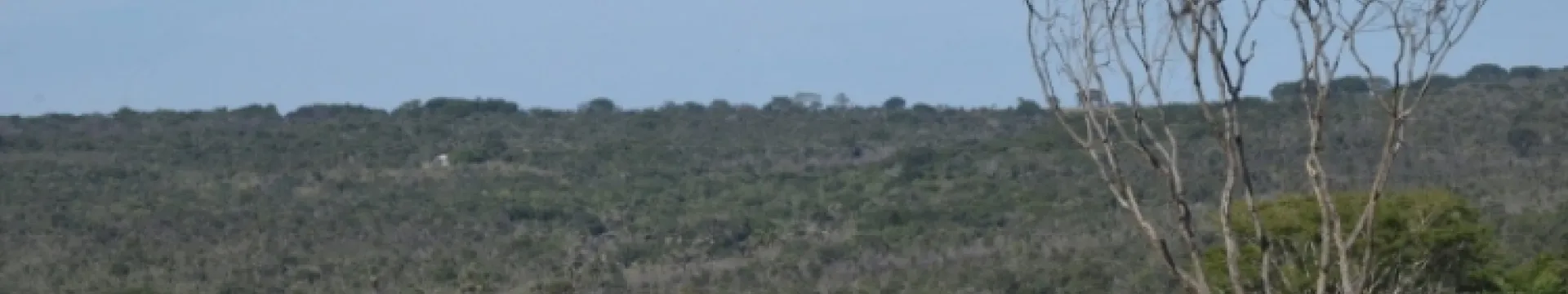 Visão geral da Reserva Ecológica do Panga