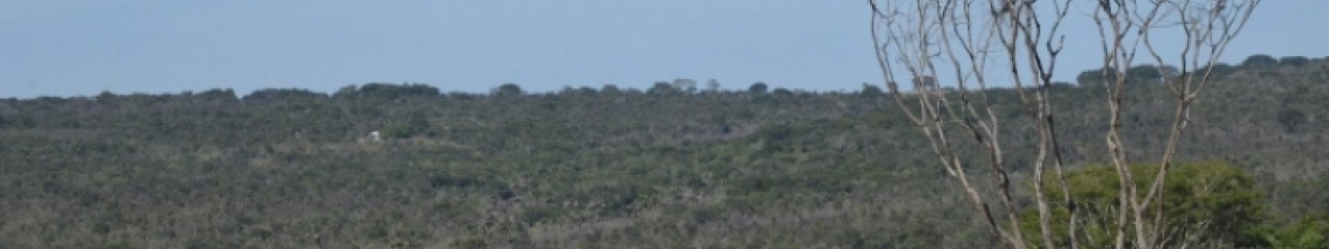 Visão geral da Reserva Ecológica do Panga